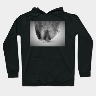 A soft winters nuzzle Hoodie